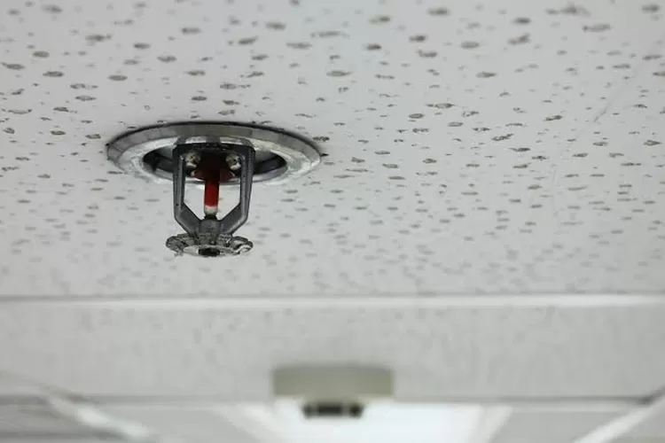 Water sprinkler lebih dari sekadar alat pemadam kebakaran. Sistem keamanan yang satu ini punya peran penting dalam melindungi bangunan dan penghuninya. Yuk, kenali fungsi utamanya yang vital! (Foto/RAD Sprinkler)