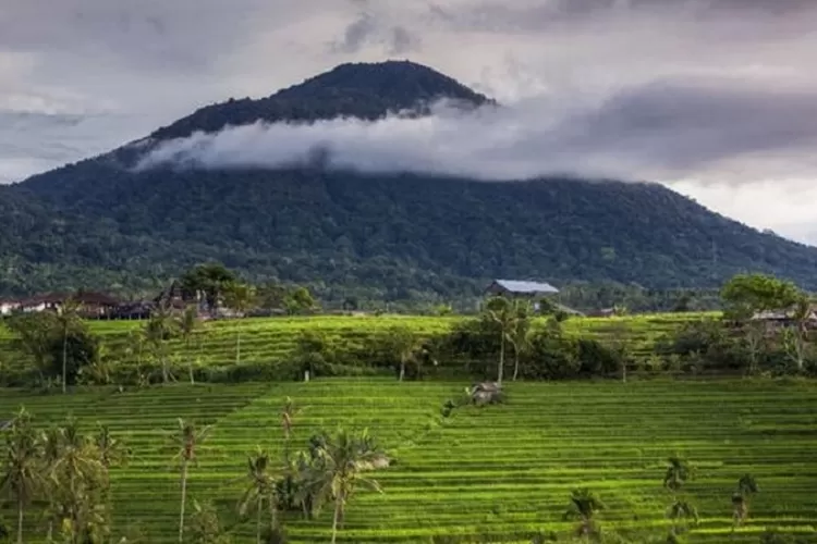 Yuk Mendaki Gunung Batukaru, Gunung Tertinggi Kedua Di Bali Yang ...