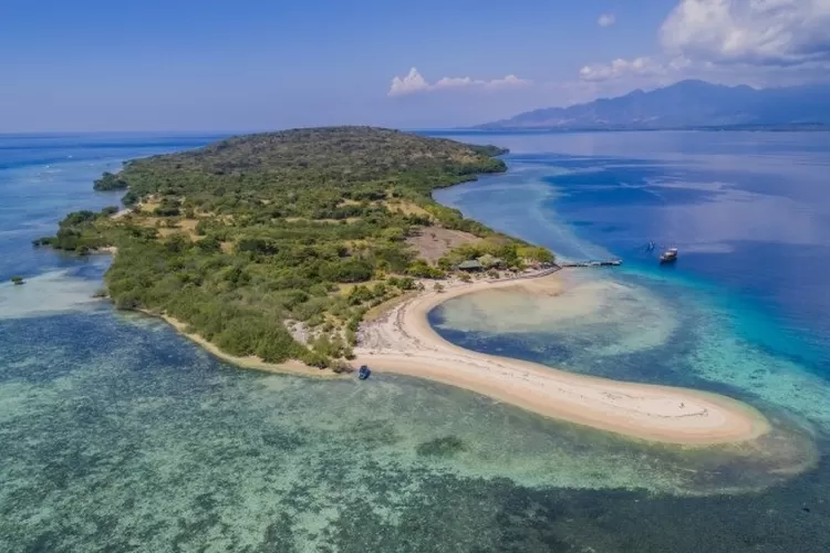 Menikmati Keindahan Bawah Laut Di Pulau Menjangan Surga Bagi Para Pecinta Snorkeling Dan Diving 8639