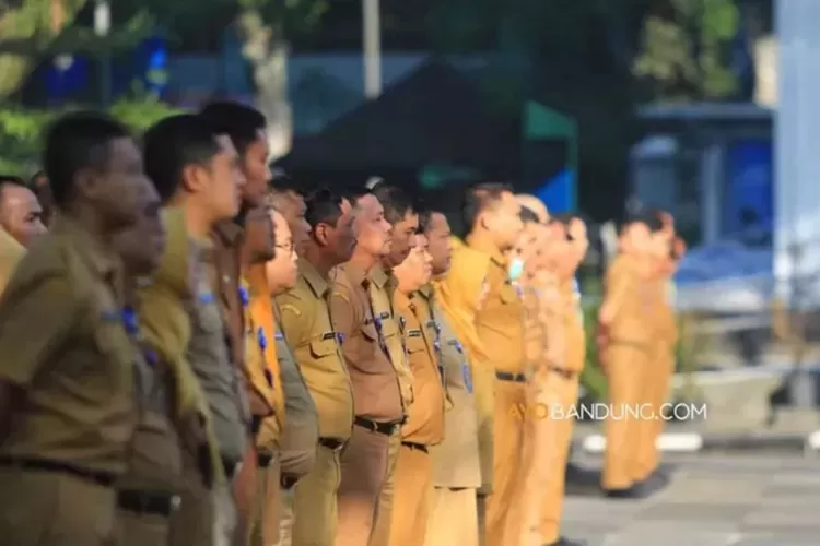 10 Formasi yang Bakal Dibuka Kemdikbud di Selekei CPNS 2024