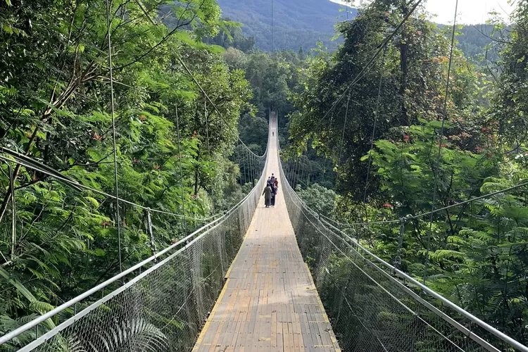 Jembatan Gantung Terpanjang Se Asia Tenggara Ada Di Jawa Barat! Terbuat ...