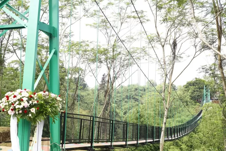 Jembatan Gantung Terpanjang Di Bogor Jadi Primadona Wisatawan, Cocok ...