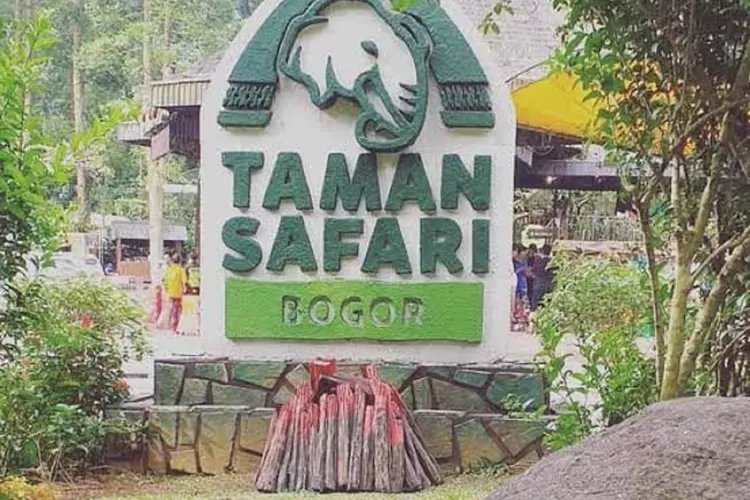 Rekomendasi 5 Tempat Wisata Di Bogor Yang Enak Banget Dikunjungi Saat ...