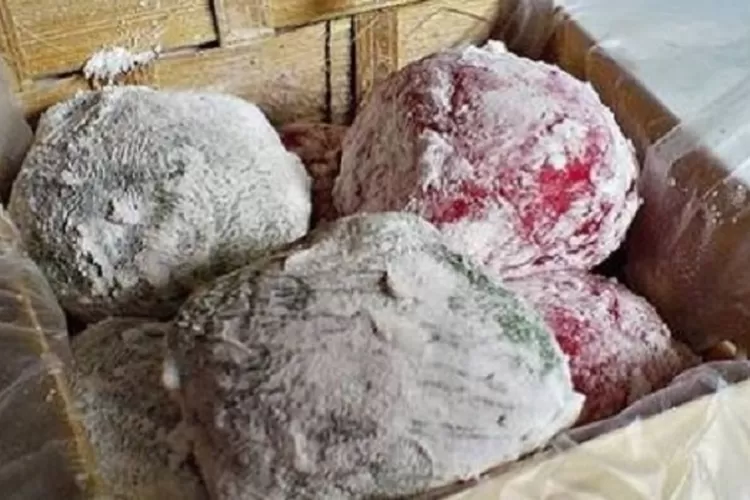 Ratu Mochi: Pengalaman Unik Menikmati Mochi Segar dan Homemade di Bogor yang Sedang Viral!