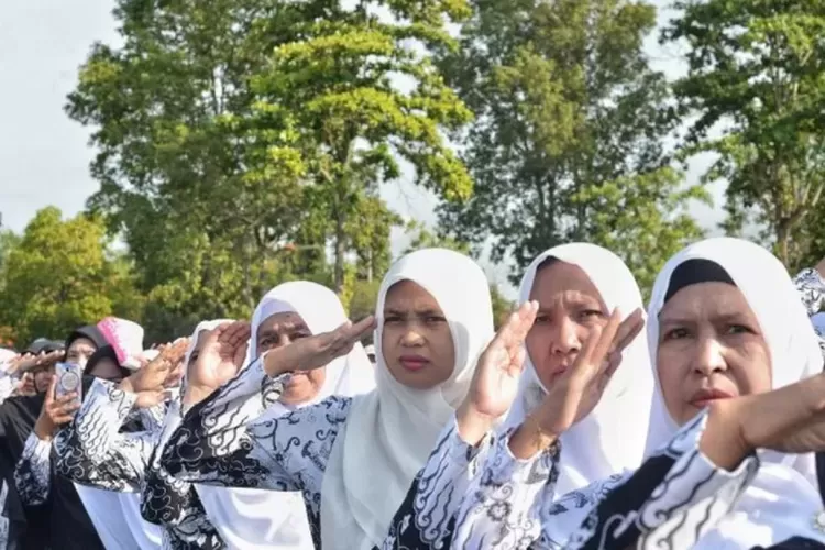 Rincian Formasi CPNS 2024, Kesempatan Tenaga Guru dan Kesehatan Jadi