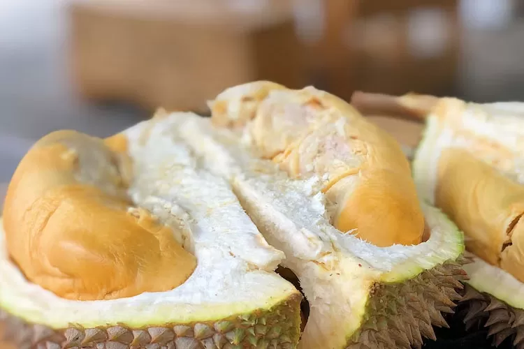 Kecamatan Ini Jadi Paling Banyak Panen Buah Durian di Kota Bogor, Hasilkan 1.760 Kuintal King of Fruits