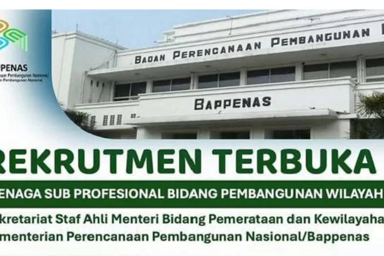 Lowongan Kerja Kementerian PPN Bappenas S1 Berbagai Jurusan Tanpa Batas Usia, Cek Syarat dan Cara Daftar