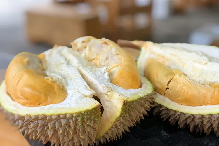 Kampung Durian Tersembunyi di Leuwiliang Bogor: Surga Durian dengan Harga Terjangkau!