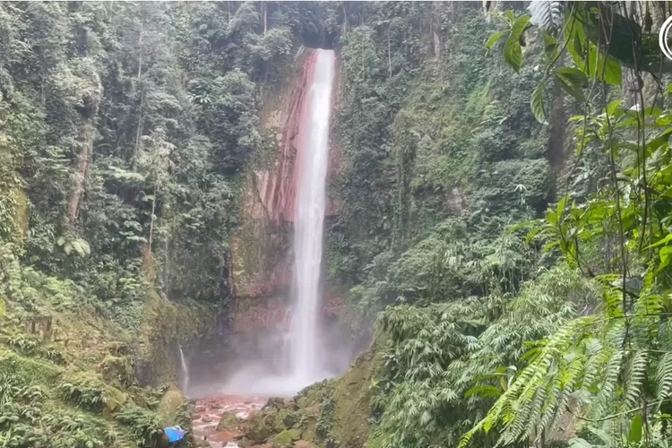 Tiket Masuk Rp15 Ribu! Curug Tertinggi di Bogor Ini Sajikan Keindahan Air Terjun yang Jernih dan Mempesona