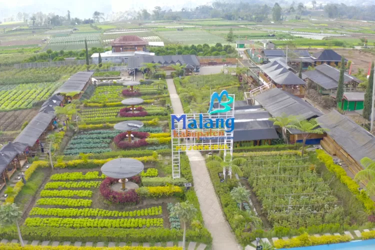 BRI Lanjutkan Program Desa BRILiaN 2024 untuk Pengembangan Ekonomi Desa