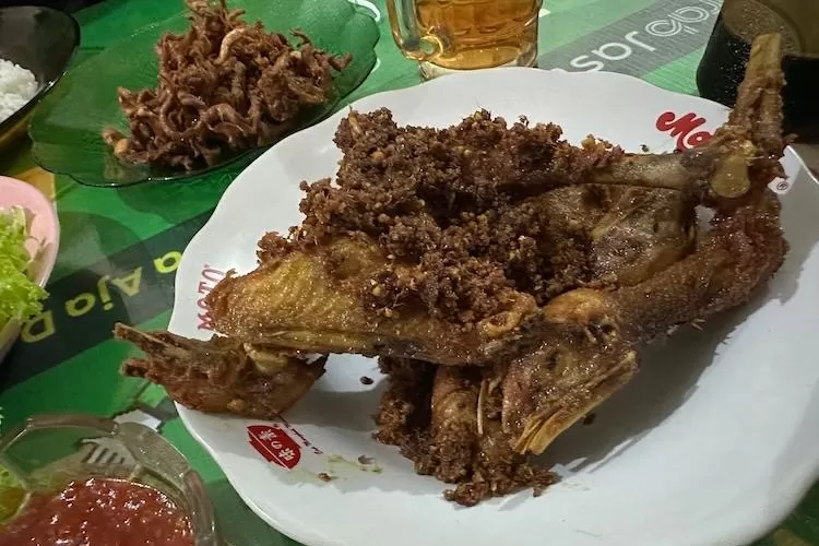 Tempat Makan Ayam Goreng di Ciawi Bogor: Padaloma Ayam Goreng dan Bakar Menjadi Primadona Kuliner!