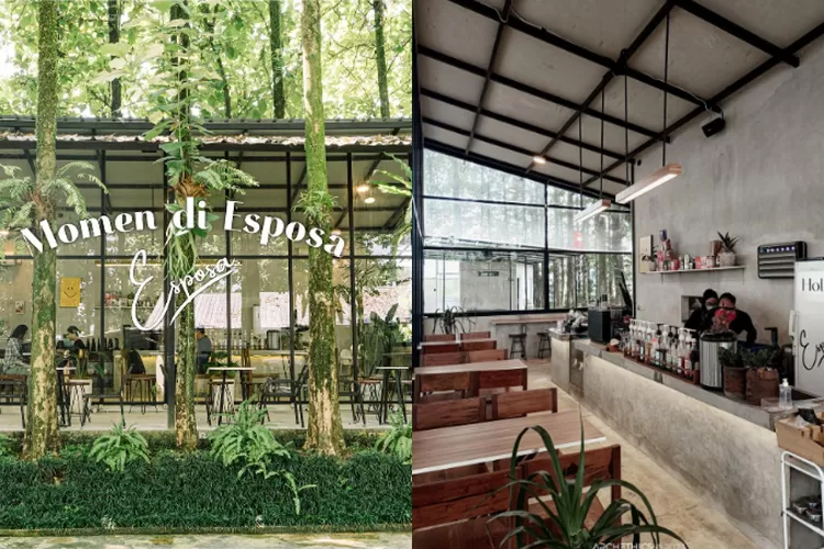 Hidden Gem Cafe di Bogor dengan Suasana Alam, Nongkrong di Sini Cocok Buat Healing