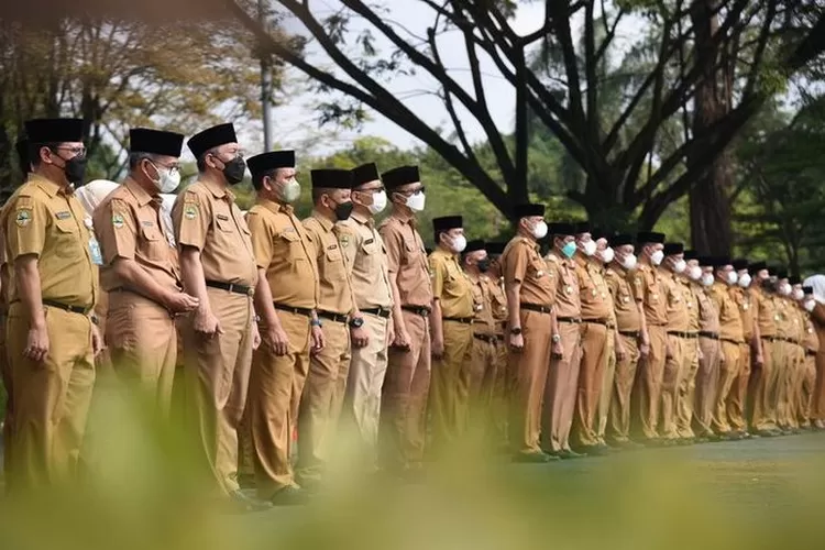 Jumlah PNS Menurut Tingkat Kepangkatan di Kota Bogor, Statistik Resmi Dari BPS Tahun 2024