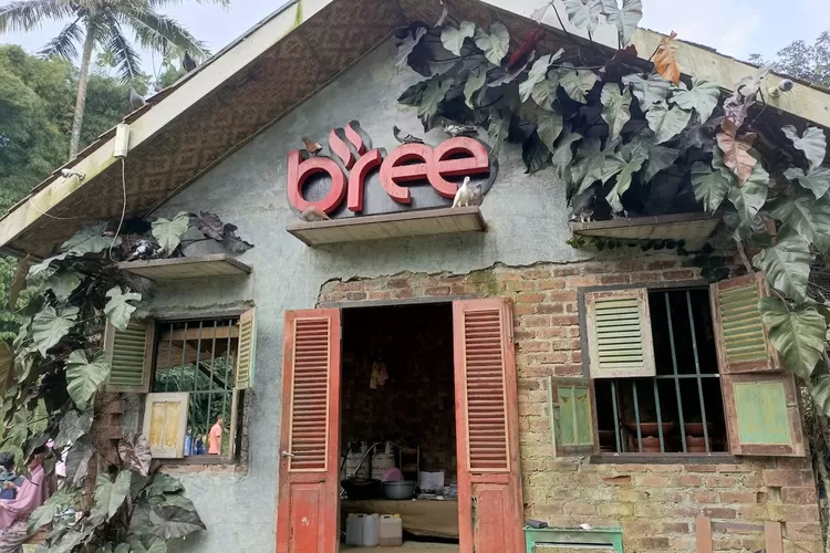 BREE Coffee and Kitchen: Tempat Hits di Bogor dengan Sensasi Makan di Atas Sungai dan Fasilitas Ramah Anak