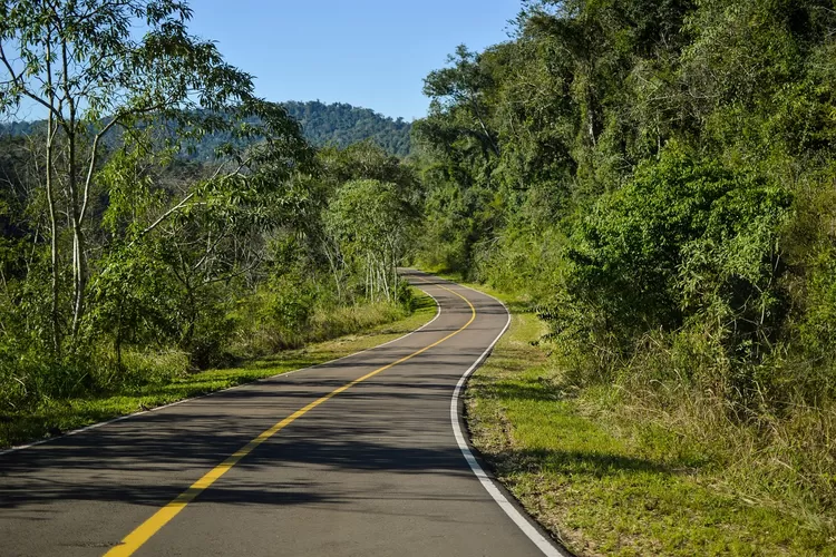 Kemenhub Rencanakan Bangun Jalan Tol di Puncak Untuk Atasi Macet, Warganet Berkomentar: Kawasan Dramaga Lebih Urgent!