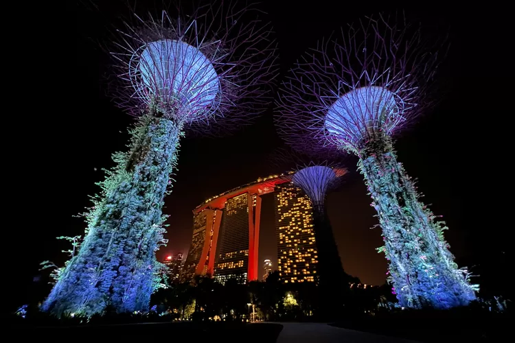 Gardens by the Bay Singapura (Unsplash/Paras Kapoor)