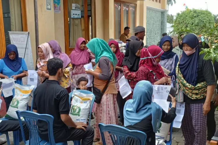 Pencairan Bansos PKH dan BPNT untuk November-Desember 2024 Hampir Tuntas, Pemerintah Siapkan Pembaruan di Tahun 2025