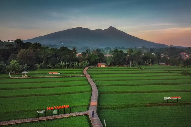 4 Kecamatan dengan Jumlah Penduduk Terbanyak di Kota Bogor yang Menjadi Pusat Ekonomi dan Aktivitas Sosial (ilustrasi/ unsplash)