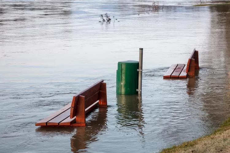 Banjir Jakarta Mulai Surut, Simak Hasil Pemantauan Tinggi Muka Air Terbaru di 12 Titik Lokasi (Pixabay/LTapsaH)
