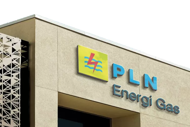 Geger Terkuak Kasus Korupsi Triliunan di PLN, Proyek Gagal Jadi Biang Kerok! (plnenergigas.co.id)