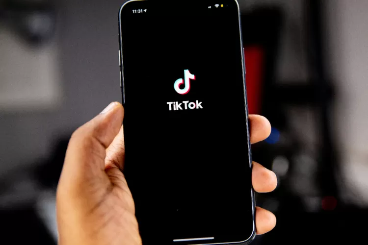 TikTok Perkenalkan Fitur Security Checkup, Cara Mudah Amankan Akun Kamu (Unsplash/Solen Feyissa)