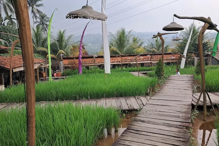 **Liburan Seru Bersama Keluarga di Mini Zoo, Destinasi Tepat Untuk Lebaran di Bogor