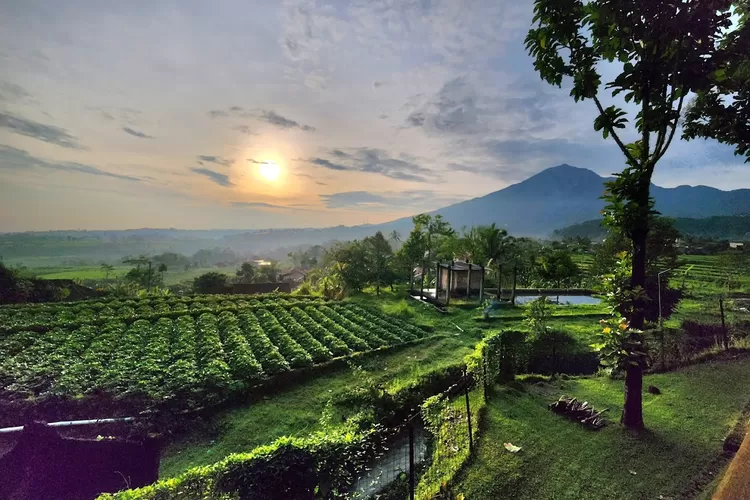 Temukan Spot Wisata Edukasi dan Caf&eacute; Resto dengan View Gunung Super Cakep, Cuma 1 Jam dari Stasiun Bogor!