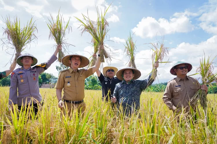 Ketua DPRD Kota Bogor Dukung Panen Raya Padi Serentak sebagai Komitmen Bersama Mewujudkan Ketahanan Pangan