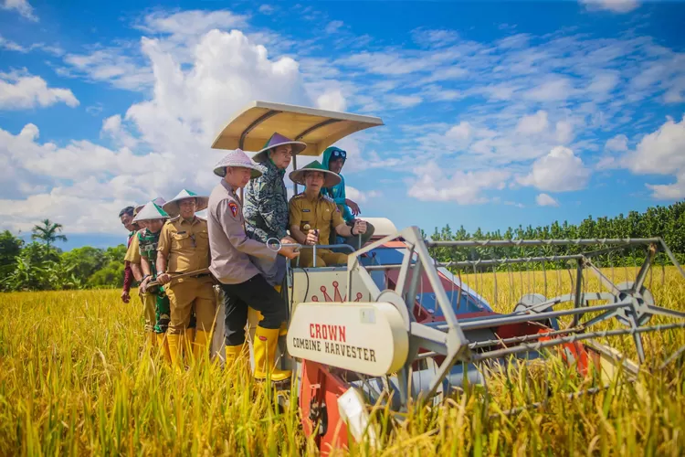 Panen Raya Padi Bareng Presiden, Dedie Rachim Dukung Kemandirian dan Ketahanan Pangan