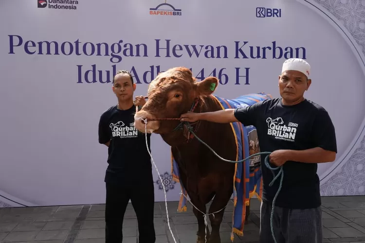 Insan BRILiaN Berkurban, 961 Hewan Disalurkan untuk Warga Sekitar