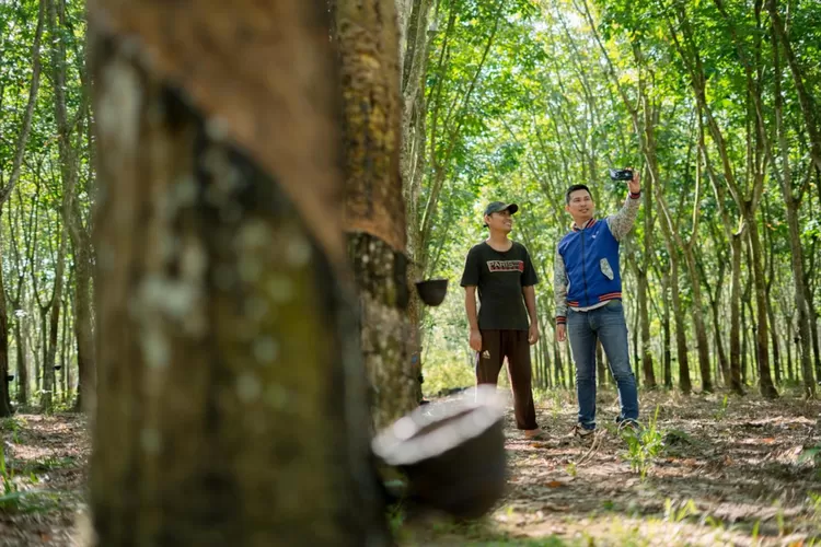 Ekspansi UMKM terus berlanjut pada Q3-2025, menegaskan meningkatnya optimisme pelaku usaha memasuki Q4-2025.