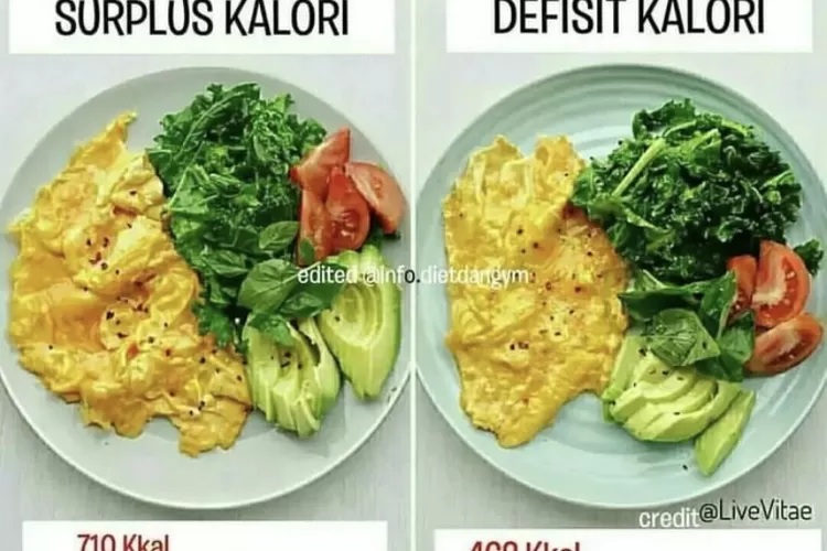 Apa Itu Defisit Kalori