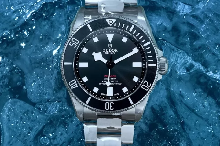 Harga jam tangan on sale tudor black bay