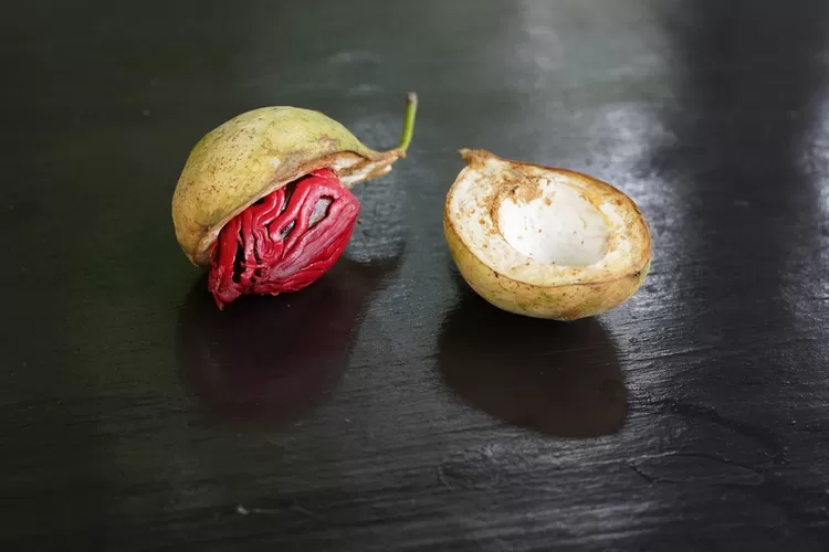 Manfaat buah pala untuk kesehatan. (pixabay/dekanda)