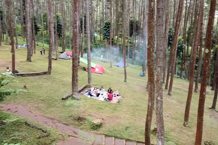 Wana Wisata Batu Kuda Lokasi Asik Untuk Piknik Atau Camping Di Kaki ...