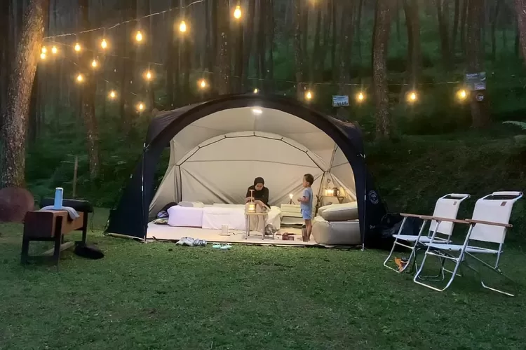 Pinea Forest Mangli, destinasi wisata camping terbilang baru di Magelang yang dilengkapi dengan beragam fasilitas (youtube Zara Camp)