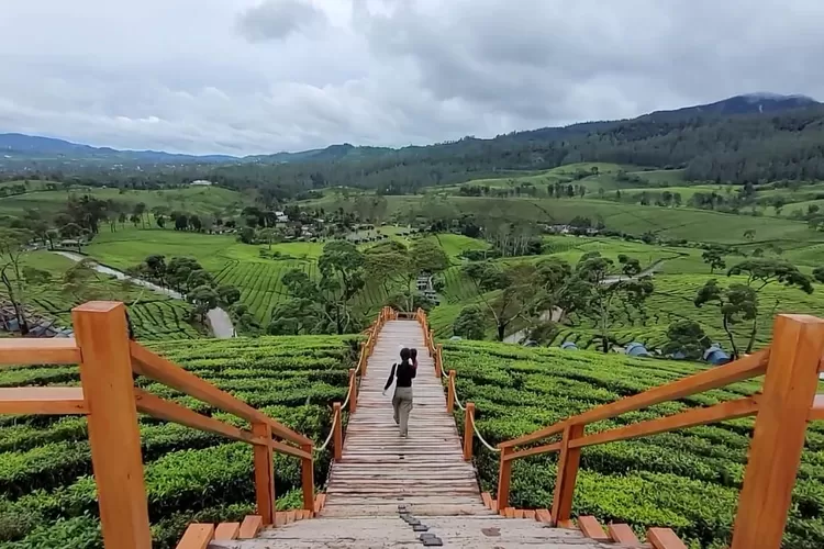 Kiara Manuk Camping Deck Wisata Berkemah Baru di Pangalengan yang Lagi Hit  : Fasilitas dan Harga - Sumsel 24