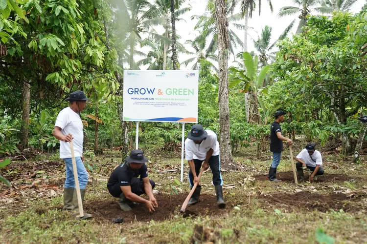 Menanam Tanaman Produktif di Lahan Kritis, BRI Grow &amp; Green Berdayakan Dua Kelompok Tani di Bali