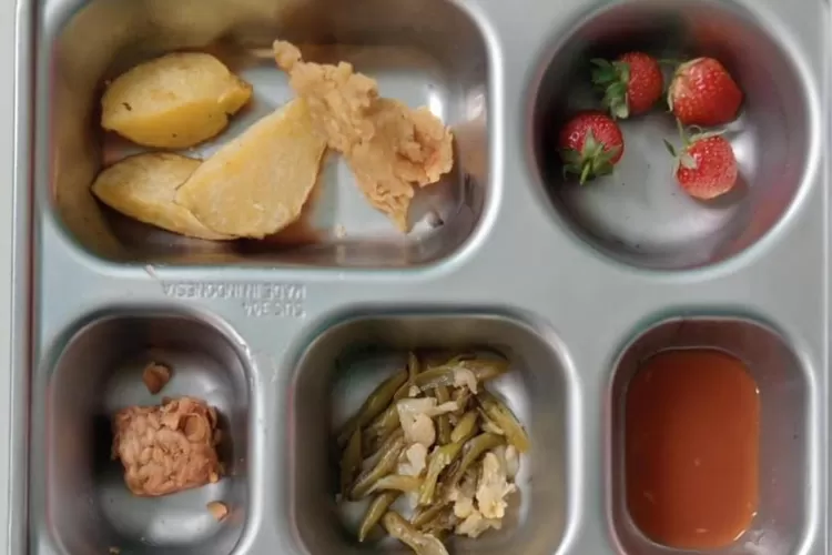 Menu Program MBG di Kecamatan Cisayong Disorot, Hanya Kulit Ayam dan Kentang (Istimewa)