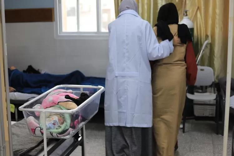 Layanan kesehatan pengungsi Gaza di Rafah. Foto: TOPMEDIA / Mariam Abu Dagga/MSF