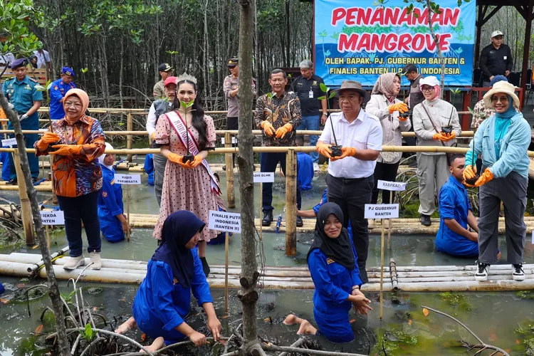 Pj Gubernur Banten, Al Muktabar bersama 2 calon Puteri Indonesia di penanaman Mangrove. foto: TOPMEDIA / Biro Adpim Banten