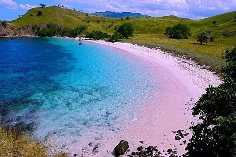 Pantai Pink Lombok  (Topmedia.co.id / Istimewa)