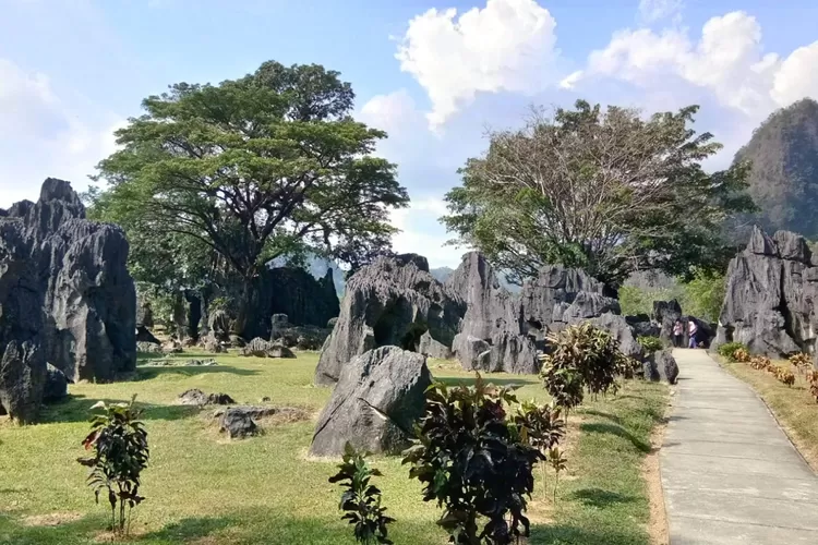 Taman Nasional Bantimurung Maros (Topmedia.co/id istimewa)