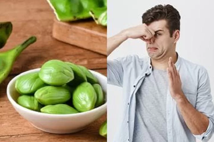 Petai  (Foto: Topmedia.co.id / Istimewa)