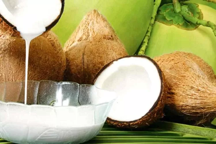 Santan Kelapa (Topmedia.co.id / Istimewa)