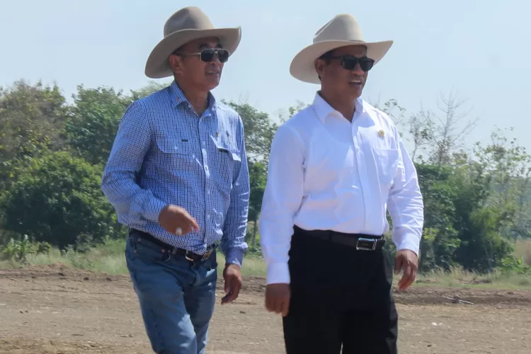 Menteri Pertanian Amran Sulaiman (Topmedia.co.id/Istimewa)