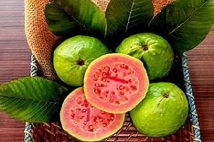 Buah yang menagndung collagen tinggi (Topmedia.co.id / Istimewa)