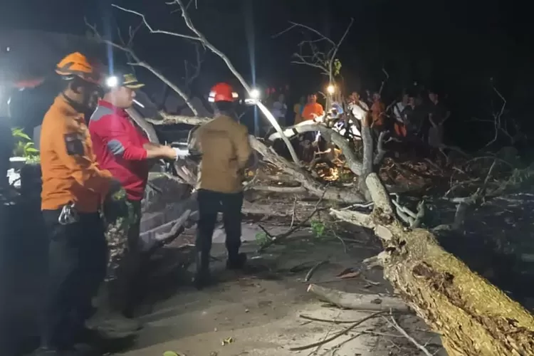 Pohon Tumbang Timpa Rumah Warga di Kota Cilegon. (TOPmedia/Firasat Nikmatullah)