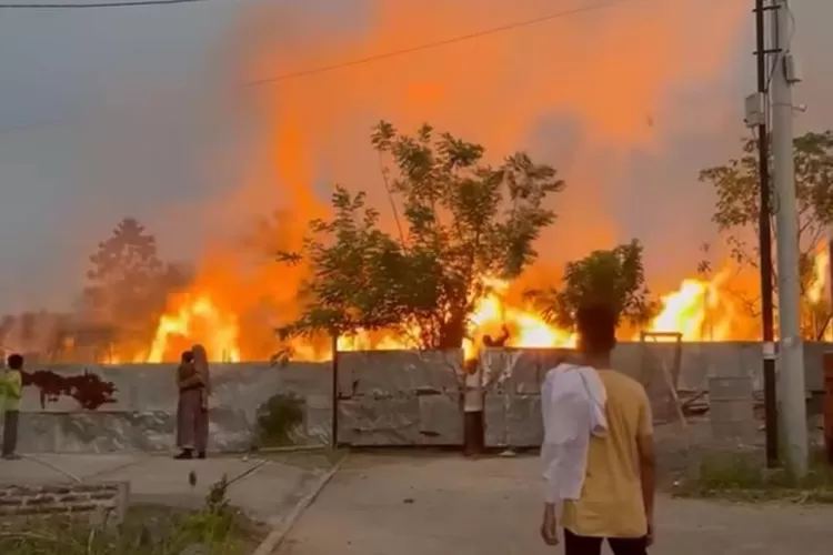 Penampakan lahan dan hutan dekat Palm Hills saat terbakar (TOPmedia/Firasat Nikmatullah)