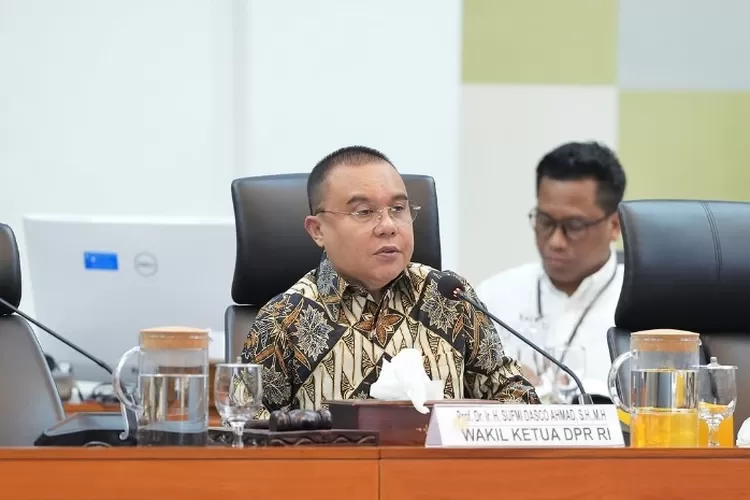 Potret Wakil Ketua DPR RI, Sufmi Dasco Ahmad. (Instagram.com/@sufmi_dasco)